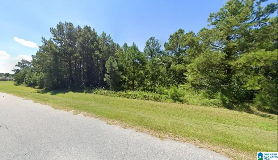 70 OVERLOOK DRIVE, Seale, AL 36875 - #2