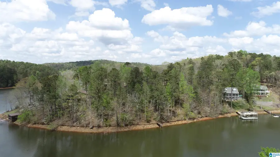 13 COUNTY ROAD 9901, Wedowee, AL 36278 - #2