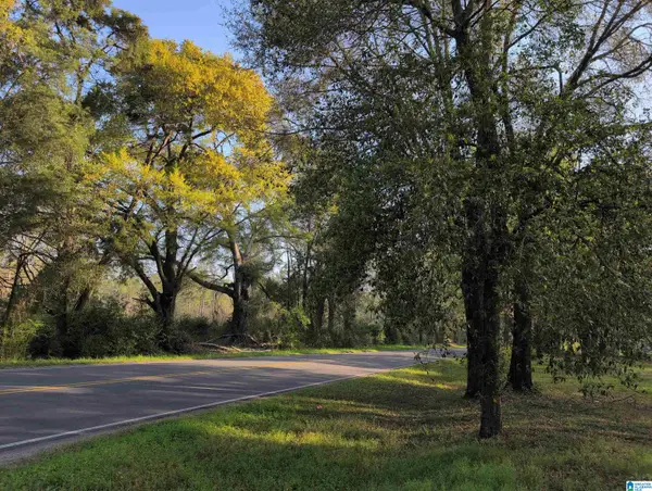 17 Ac+/- COOSADA ROAD, Millbrook, AL 36054