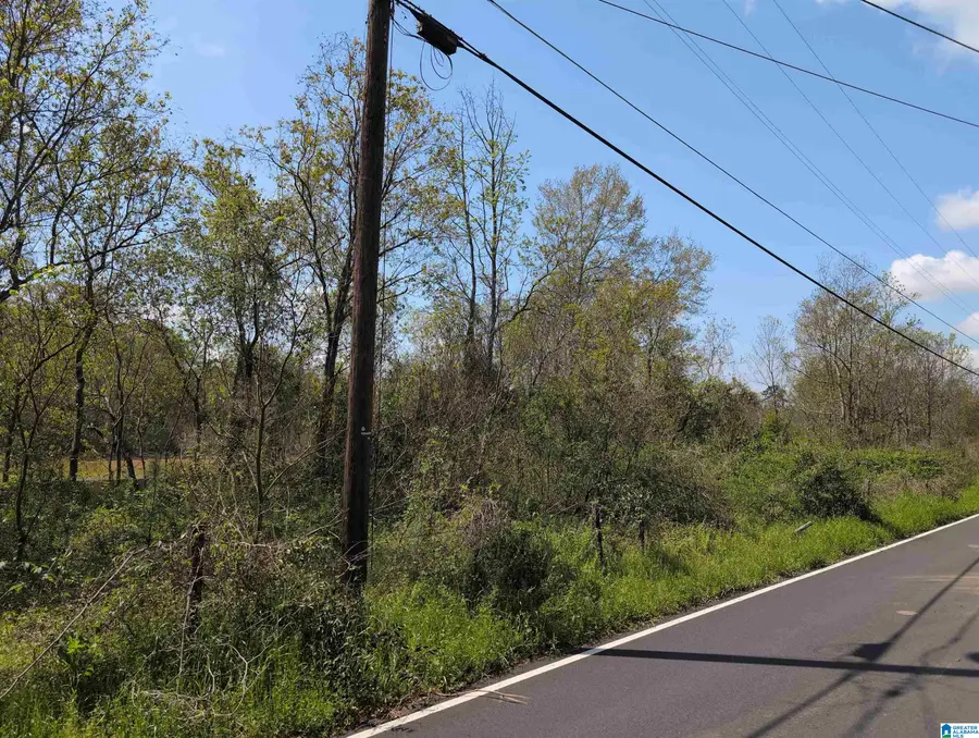 17 Ac+/- COOSADA ROAD, Millbrook, AL 36054 - #2