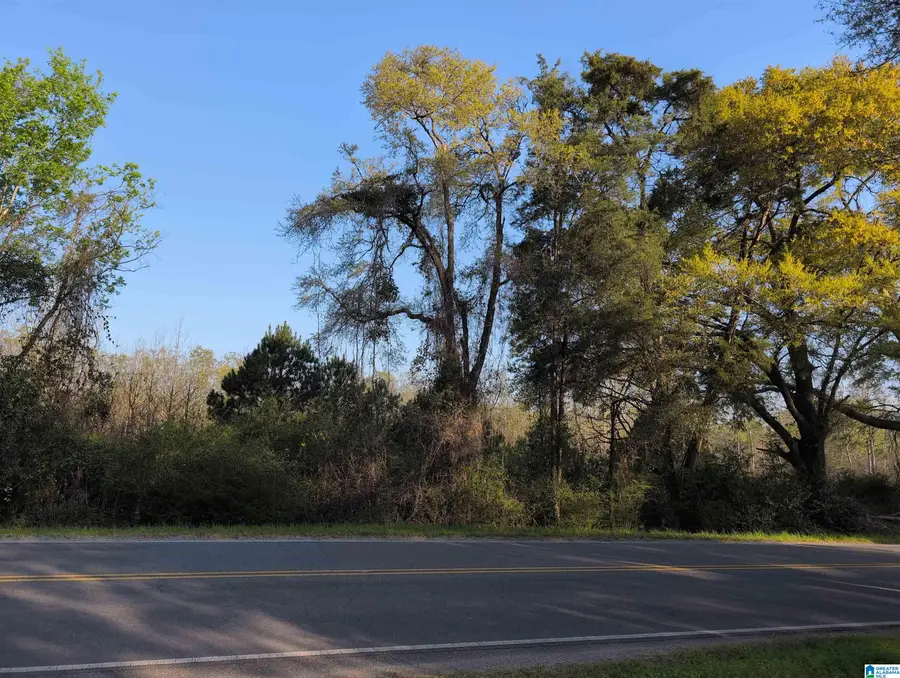 17 Ac+/- COOSADA ROAD, Millbrook, AL 36054 - #3