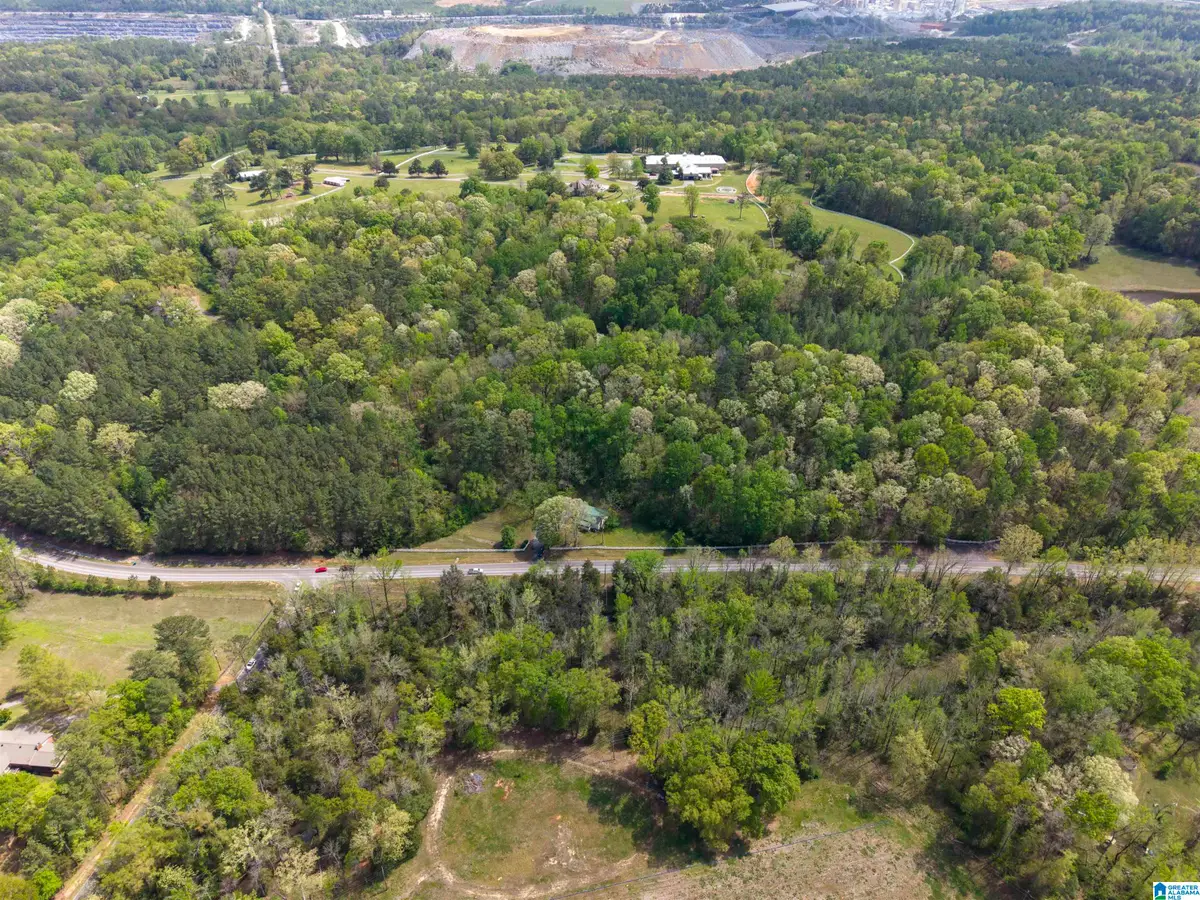 3888 SPRING CREEK ROAD, Montevallo, AL 35115 - #1