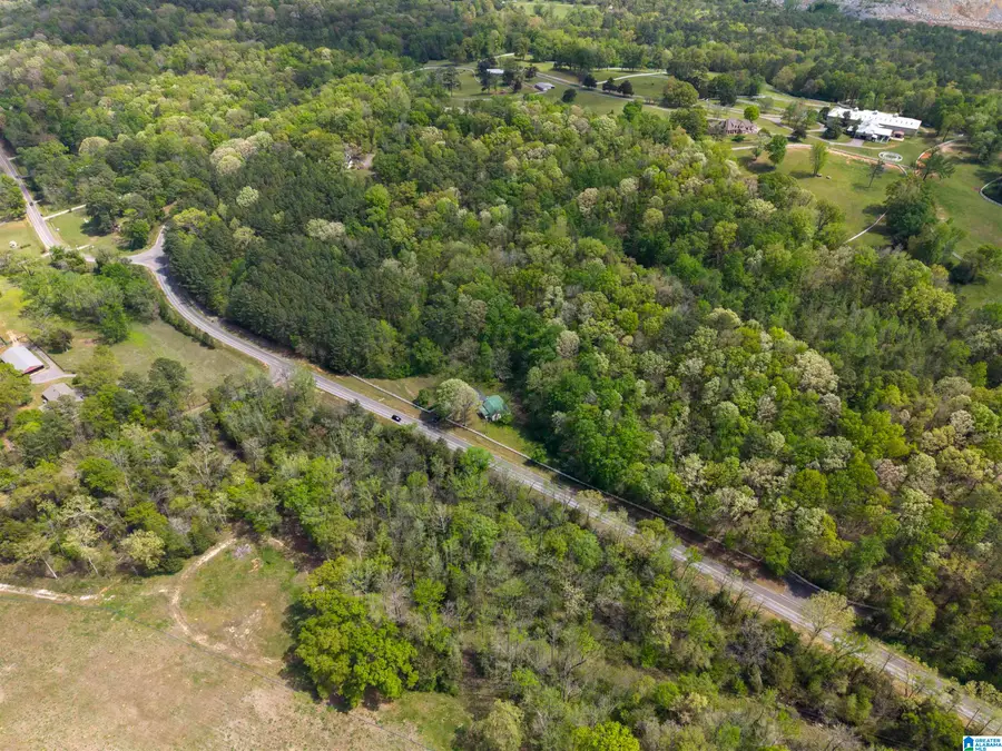 3888 SPRING CREEK ROAD, Montevallo, AL 35115 - #2