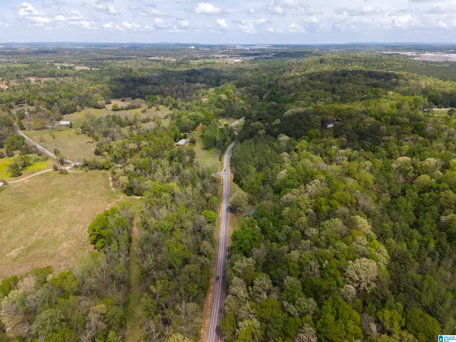 3888 SPRING CREEK ROAD, Montevallo, AL 35115 - #3