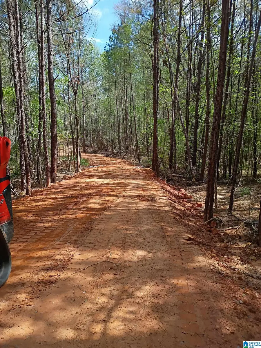 14 COUNTY ROAD 150, Weogufka Marble Valley, AL 35151 - #2