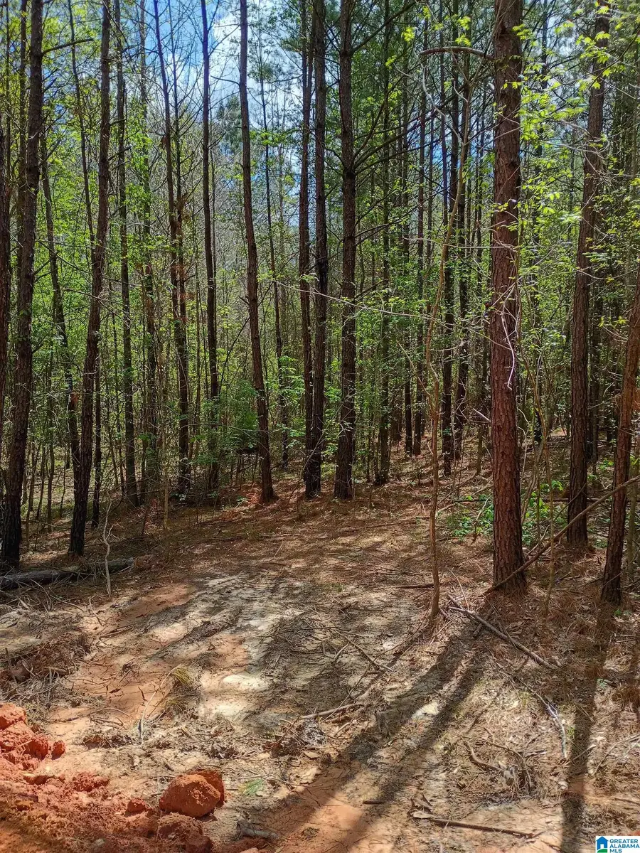 14 COUNTY ROAD 150, Weogufka Marble Valley, AL 35151 - #3