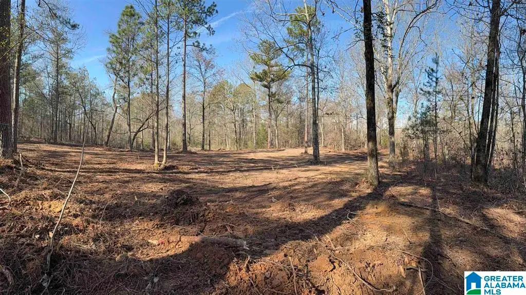 088 MCKESIE STREET, Riverside, AL 35135 - #1