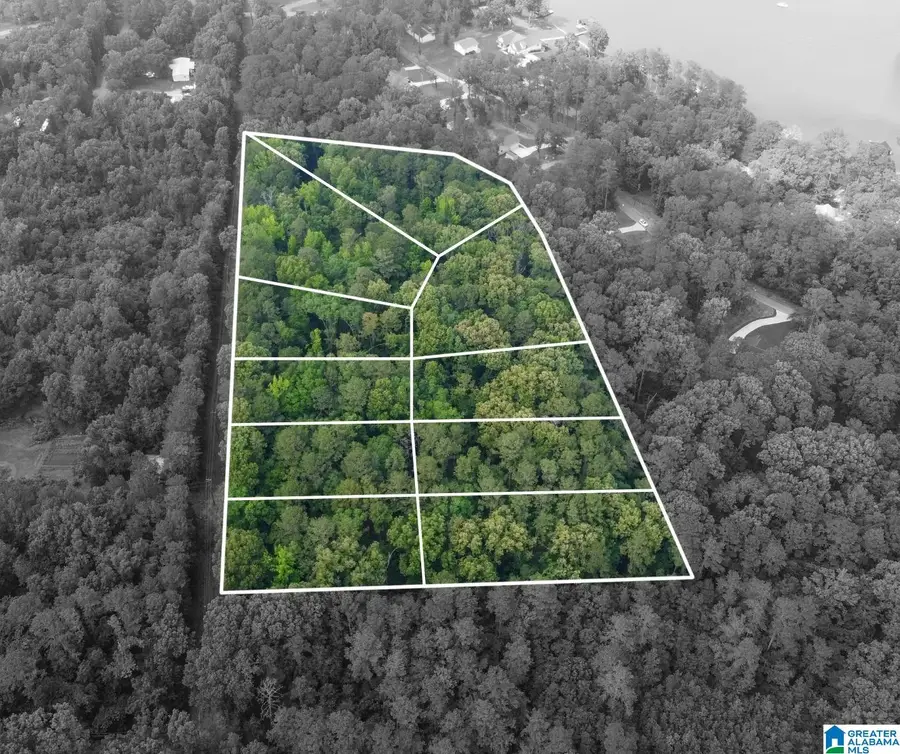 70 CHOICE CIRCLE, Cropwell, AL 35054 - #2