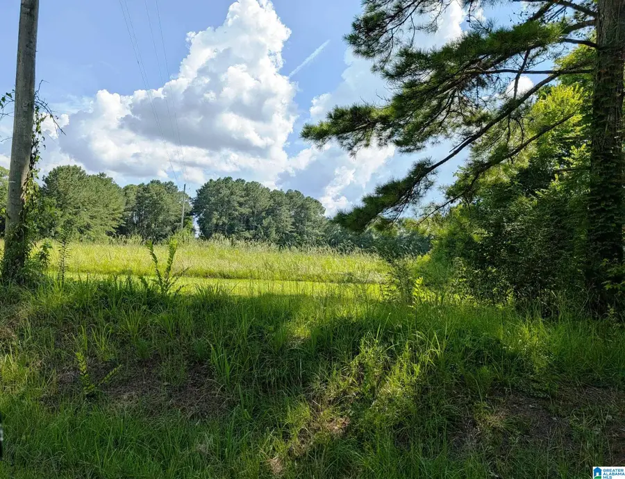 15416 HIGHWAY 61, Wilsonville, AL 35186 - #3