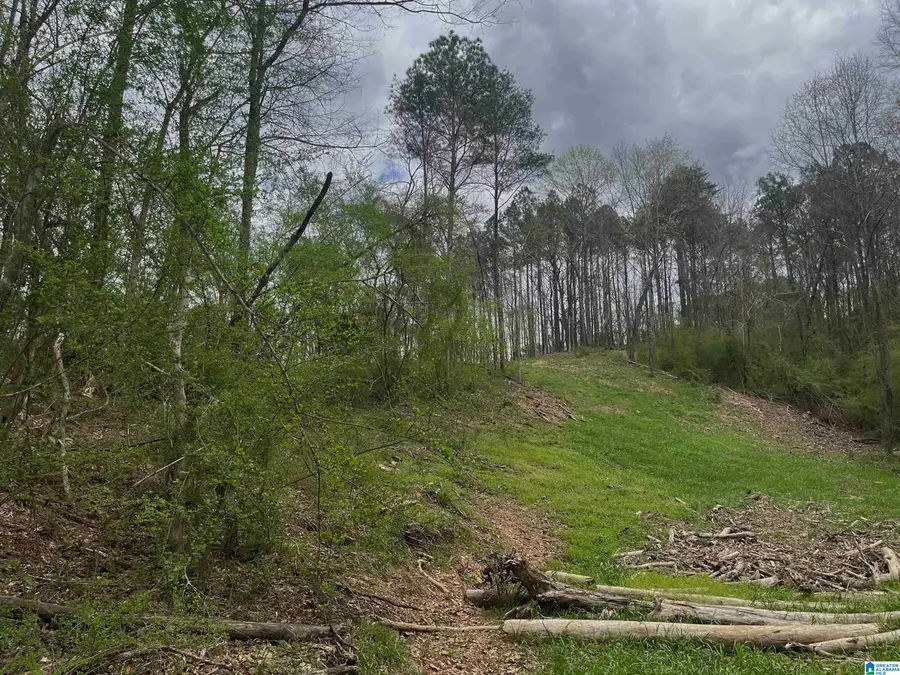 4040 PINE STREET, Birmingham, AL 35210 - #3