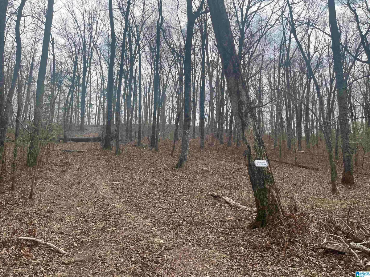 6446 TRUSSVILLE CLAY ROAD, Trussville, AL 35173 - #1