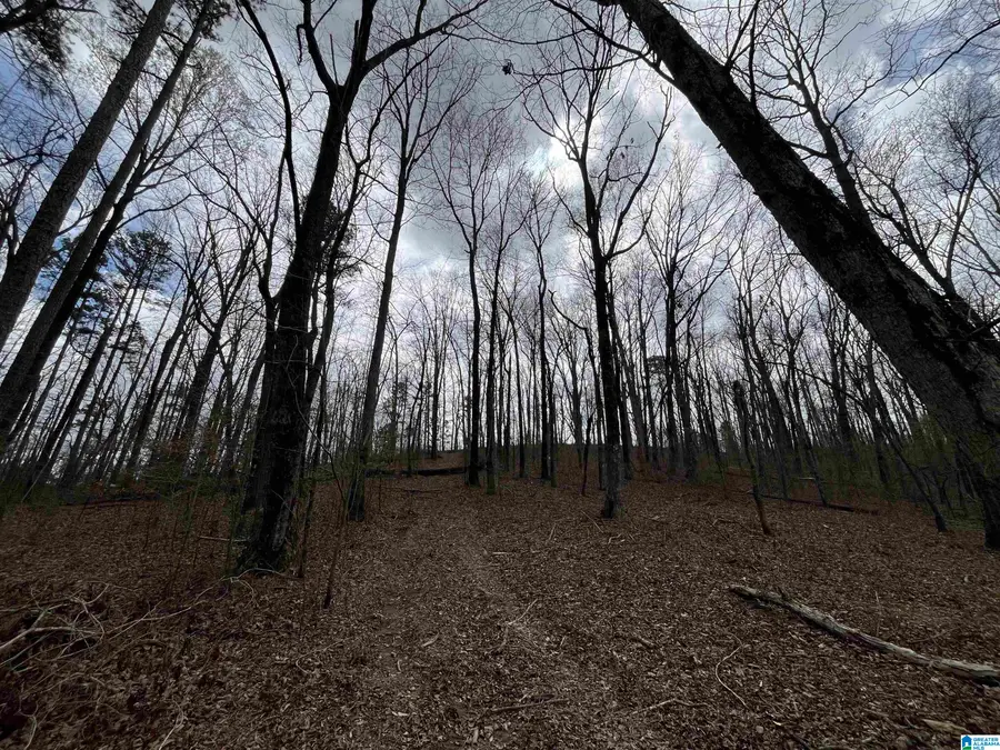 6446 TRUSSVILLE CLAY ROAD, Trussville, AL 35173 - #3