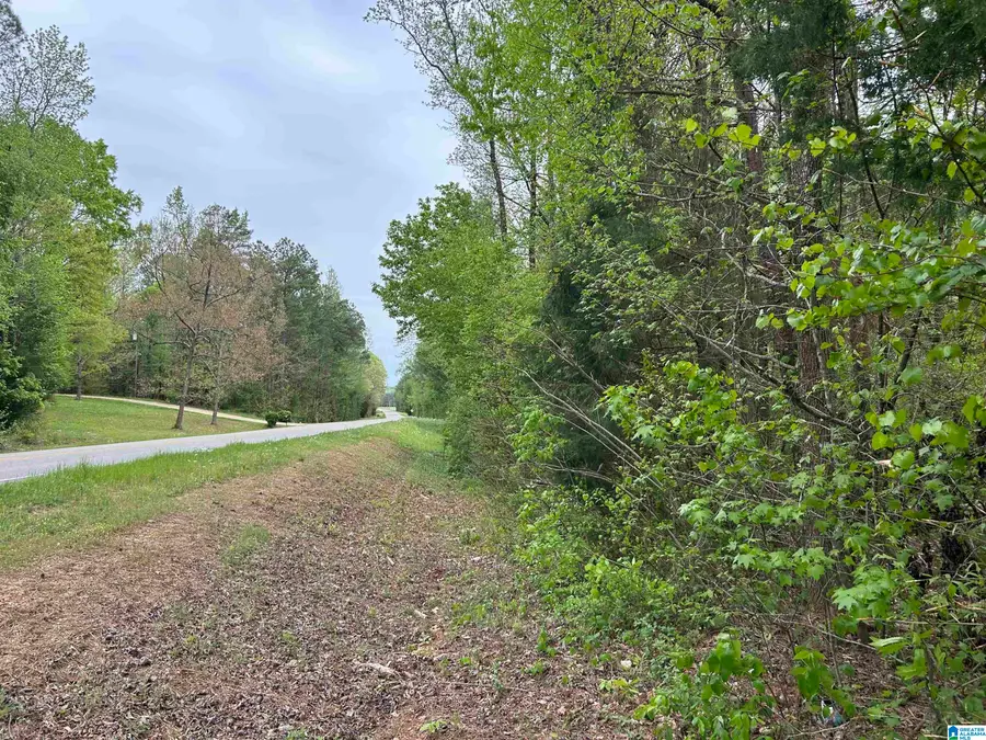 2360 HIGHWAY 28, Columbiana, AL 35051 - #3