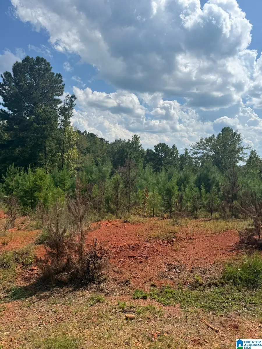 Lot 43 COURTNEY LANE, Wedowee, AL 36278 - #2