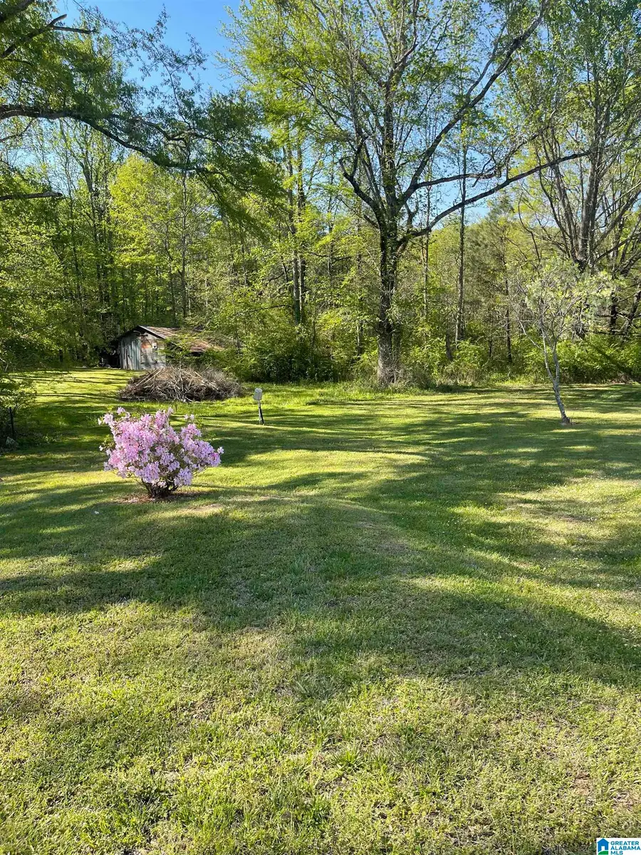 15025 HIGHWAY 43, Vandiver, AL 35176 - #2