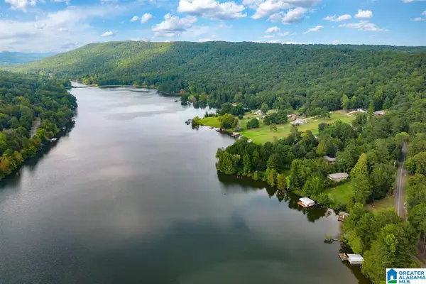 8279 EMERALD LAKE DRIVE W, Pinson, AL 35126