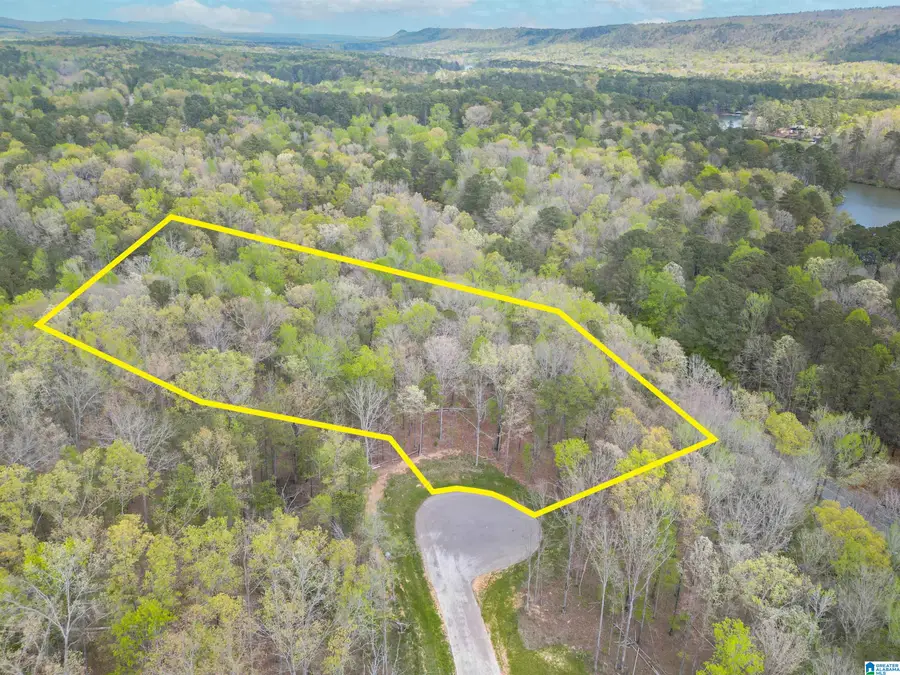 773 CAVALIER RIDGE, Birmingham, AL 35242 - #3