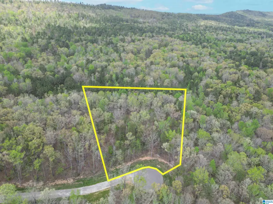 779 CAVALIER RIDGE, Birmingham, AL 35242 - #2