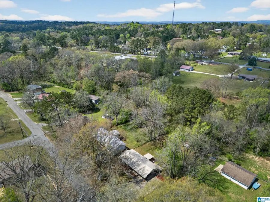 1423 MONTEVALLO ROAD, Weaver, AL 36277 - #3