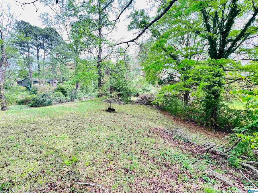 809 CEDAR SPRINGS ROAD, Weaver, AL 36277 - #3