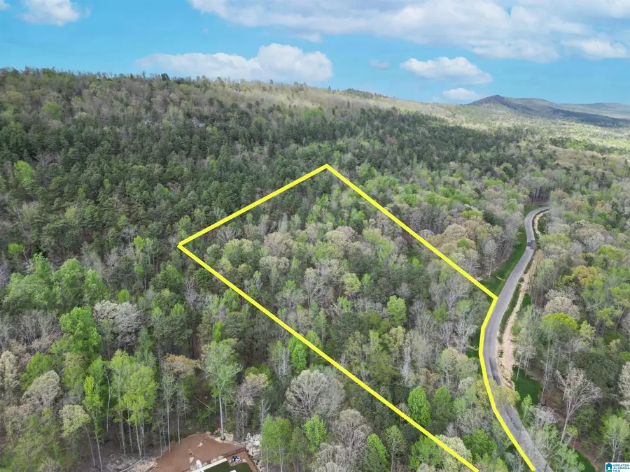 301 WINCHESTER PASS, Birmingham, AL 35242 - #2