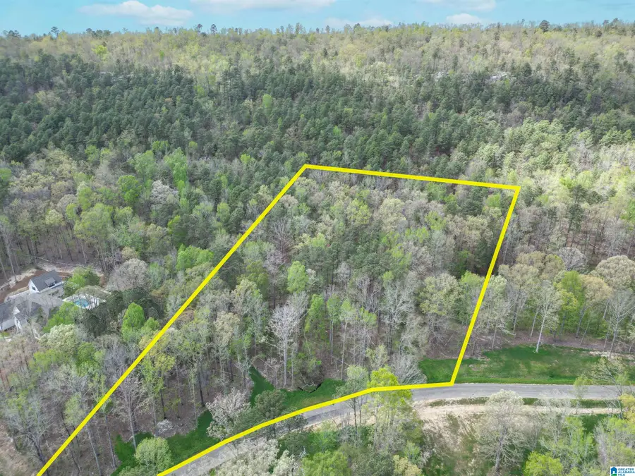 301 WINCHESTER PASS, Birmingham, AL 35242 - #3