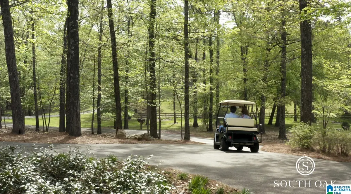 325 WINCHESTER PASS, Birmingham, AL 35242 - #1