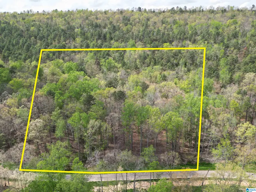 325 WINCHESTER PASS, Birmingham, AL 35242 - #3