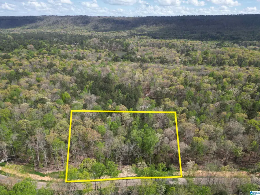 316 WINCHESTER PASS, Birmingham, AL 35242 - #3