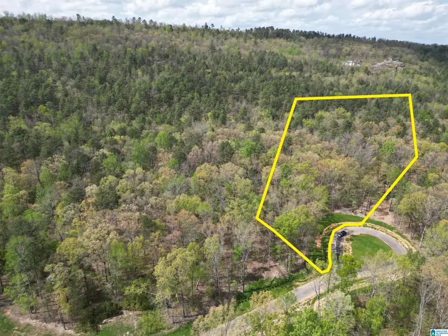 349 WINCHESTER PASS, Birmingham, AL 35242 - #3