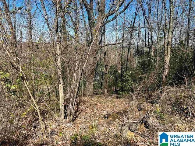 3996 SOUTH SHADES CREST ROAD, Hoover, AL 35244 - #2