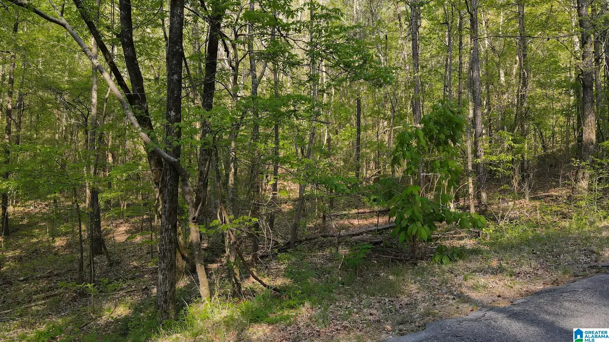 0 COUNTRY ROAD, Warrior, AL 35180 - #1