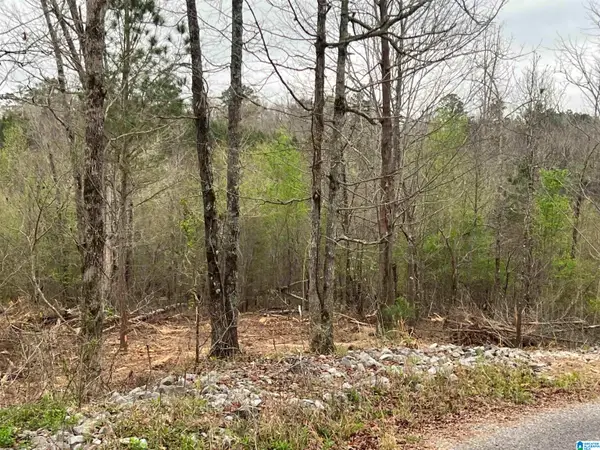 W LAKESHORE DRIVE, Oneonta, AL 35121
