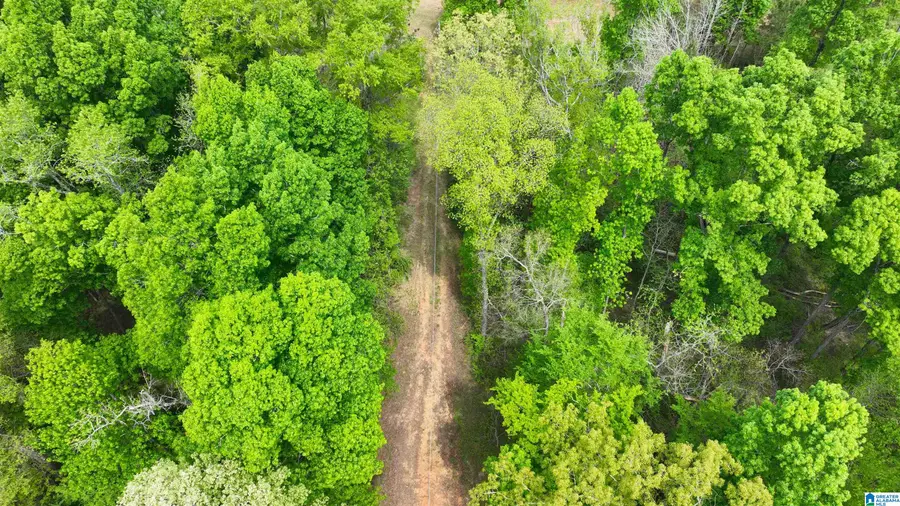 499 SHORES DRIVE, Columbiana, AL 35051 - #3