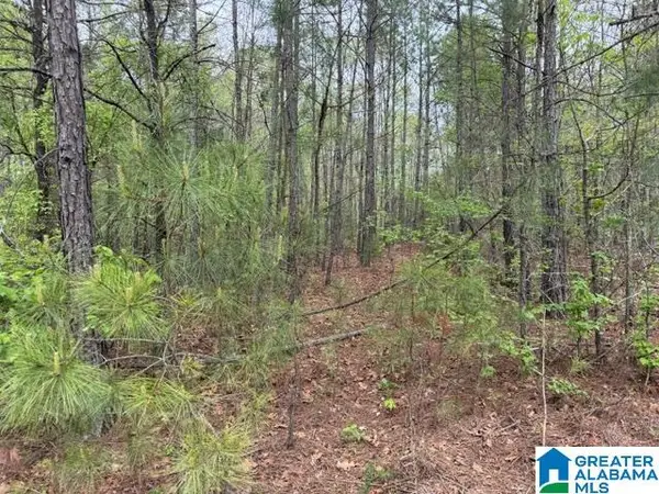 0 COUNTY ROAD 806, Wedowee, AL 36278