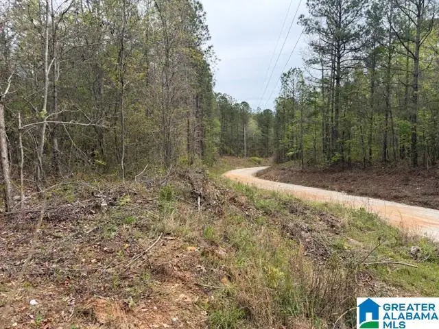 0 COUNTY ROAD 806, Wedowee, AL 36278 - #3