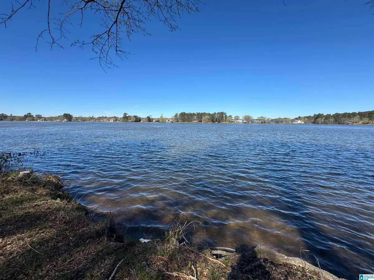 00 BOATHOUSE CIRCLE, Sylacauga, AL 35151 - #1