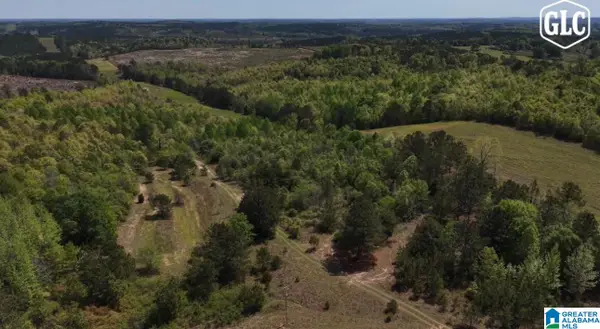 1600 COUNTY ROAD 125, Billingsley, AL 36758