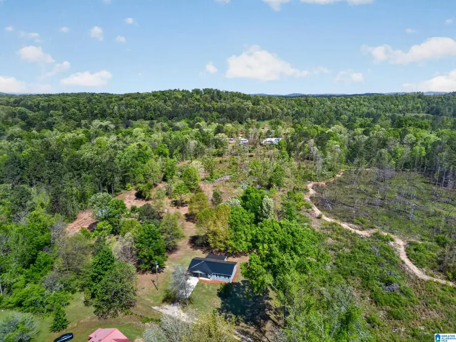 360 PARKWOOD DRIVE, Ohatchee, AL 36271 - #3