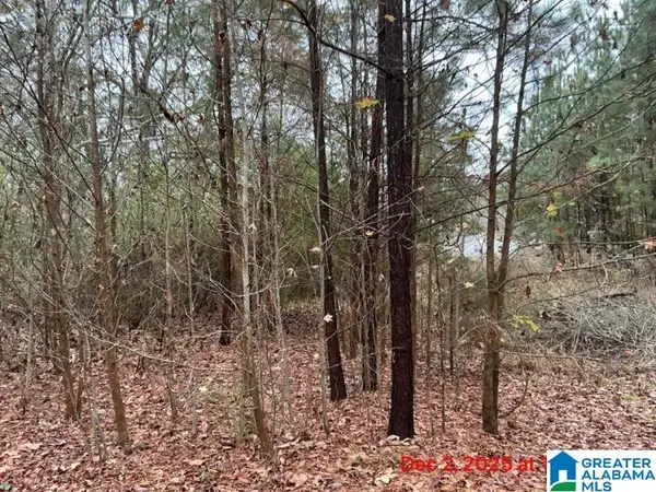 0 GRIMES ROAD, Indian springs village, AL 35124