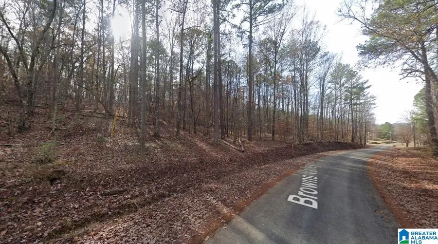 0 BROWNS VALLEY ROAD, Pell City, AL 35128 - #3