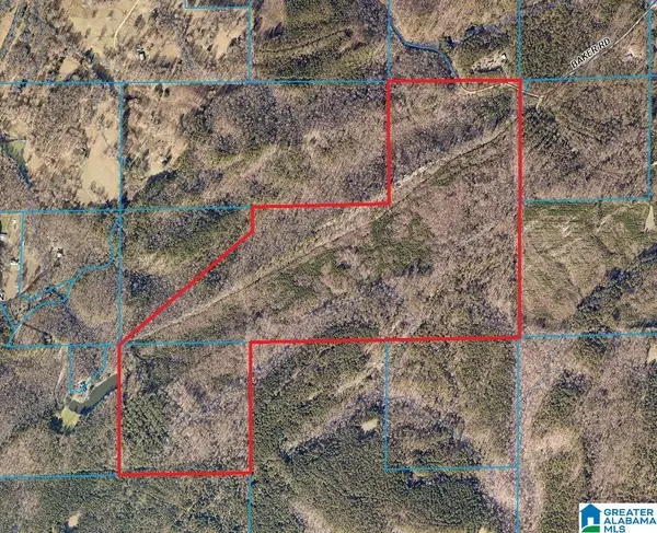 0 BAKER ROAD, Odenville, AL 35120