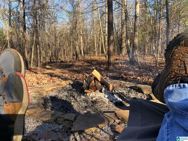 00 US HWY 231, Ragland, AL 35131