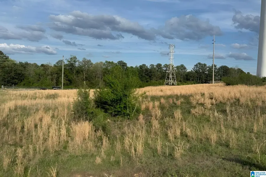 430 GEORGE ROY PARKWAY, Calera, AL 35040 - #3