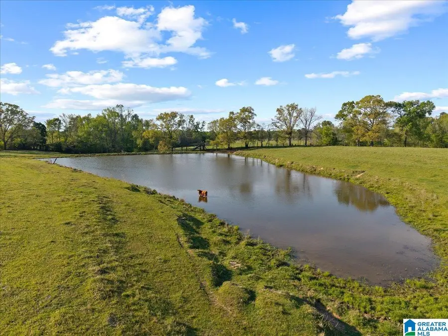 1347 HAMM ROAD, Blountsville, AL 35031 - #2