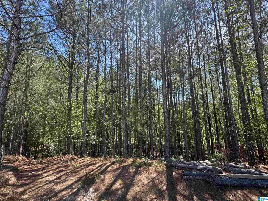 139 GLENGERRY DRIVE, Pelham, AL 35124 - #3