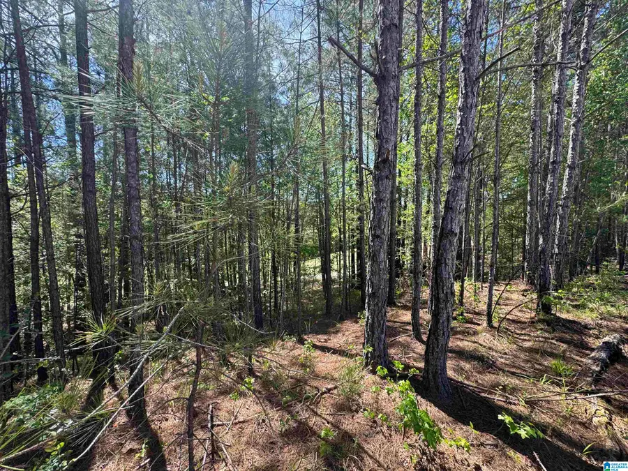 141 GLENGERRY DRIVE, Pelham, AL 35124 - #3