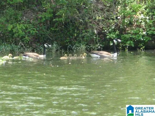 208 WATERFORD DRIVE, Sylacauga, AL 35151 - #2