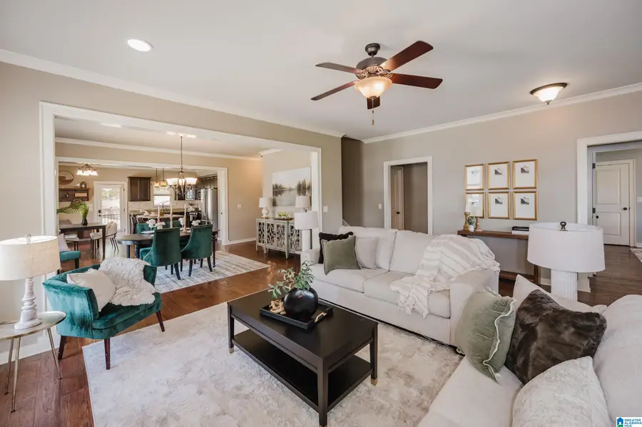 3809 JAMES HILL CIRCLE, Hoover, AL 35226 - #3