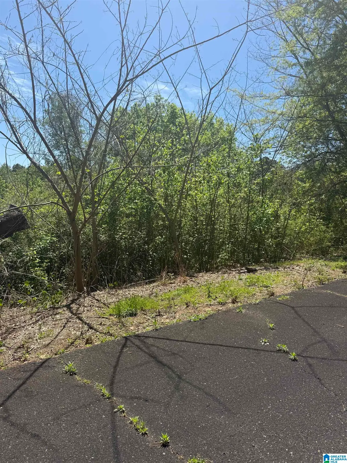 5027 RAILROAD AVENUE, Irondale, AL 35210 - #1